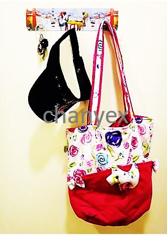 Decorative Sticker Hooks - Medium